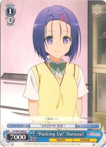 "Packing Up" Haruna? (TL/W37-E095 C) [To Loveru Darkness 2nd]